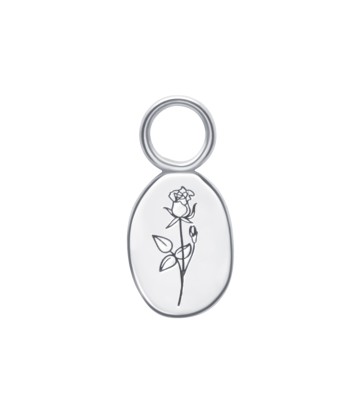 Rose Birth Flower Silver Charms CH-340